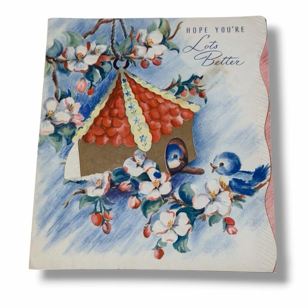 Forget Me Not Hope You're Lots Better Birds Vintage Get Well Card ABX